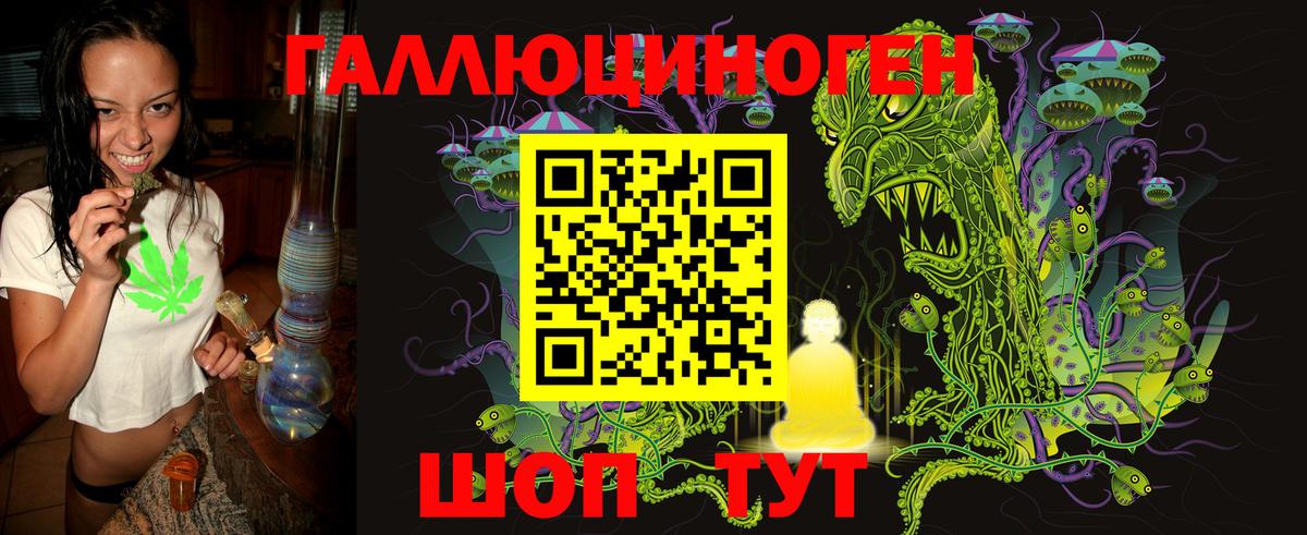 Галлюциногенные грибы Psilocybine cubensis  Вход с VPN  Новошахтинск 